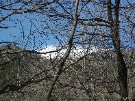 fugio Paterno-20100221 022